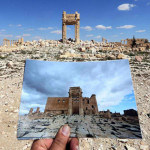 56ffcedfc36188fe4d8b4581