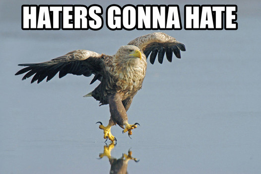 haters_Haters_Gonna_Hate-s526x350-62877-580.jpg