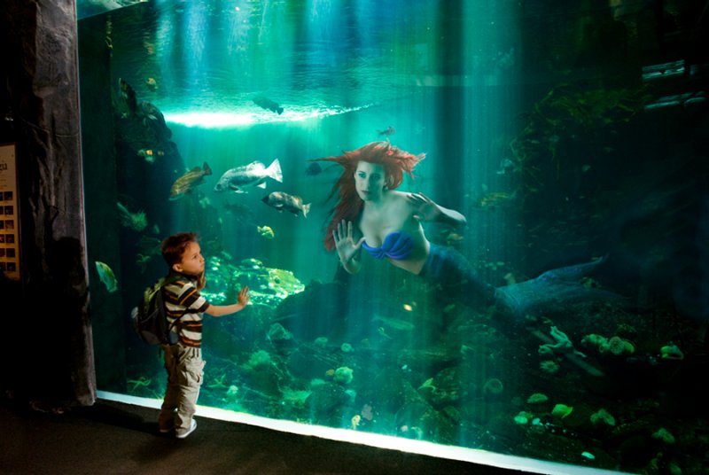ariel