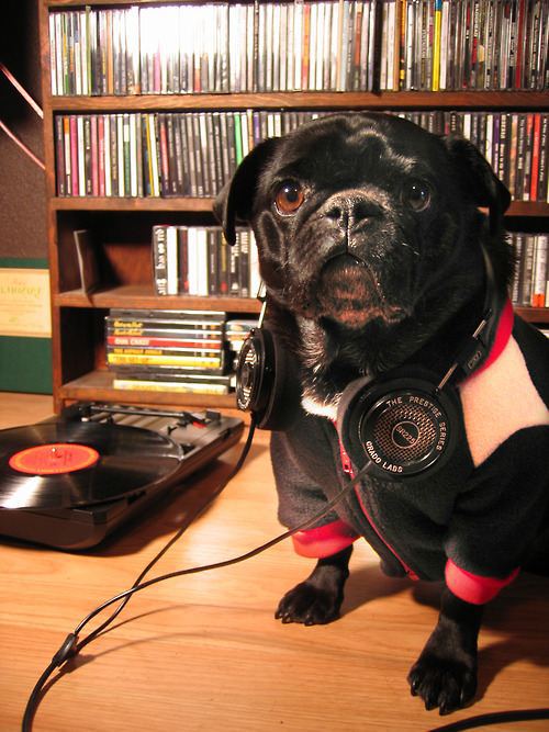 DJ Pug