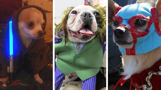 Villain Pups