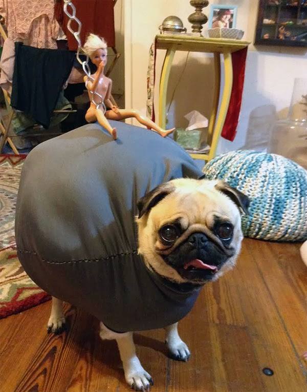 Wrecking Pug