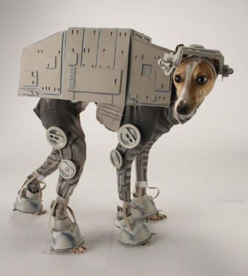 Dog Walker