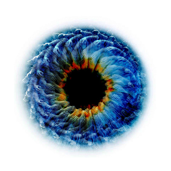 Untitled-1
