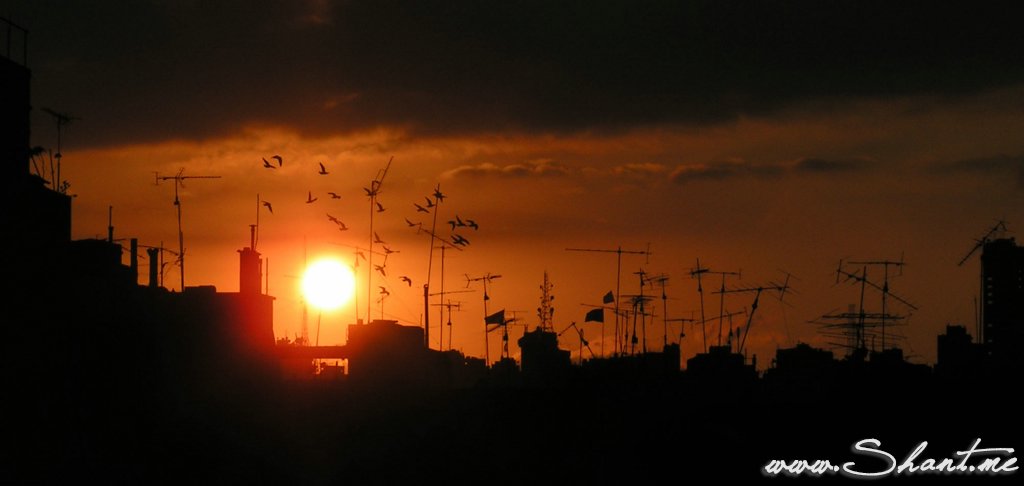 Beirut (Via)