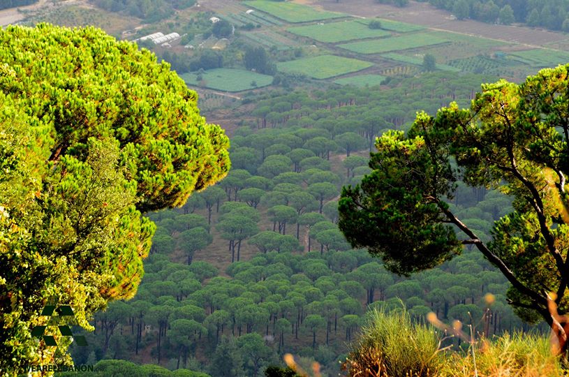 Jezzine (Via)