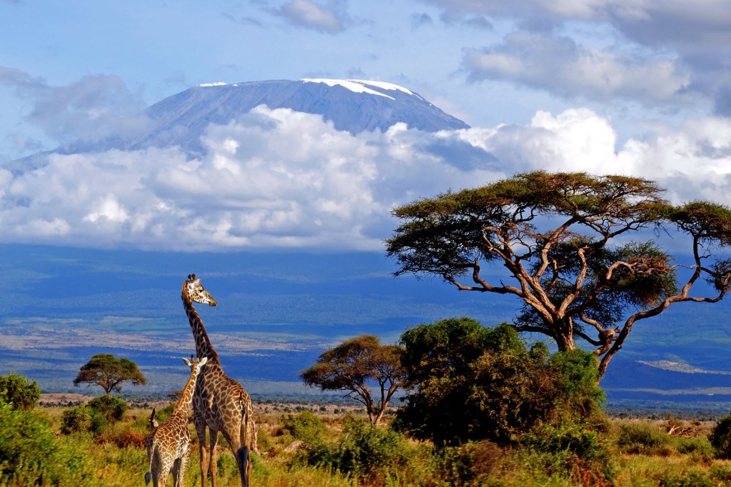 11 Lessons I Learned from Climbing Mt. Kilimanjaro - Scoop Empire