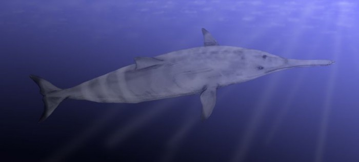 Squalodon_BW-700x316