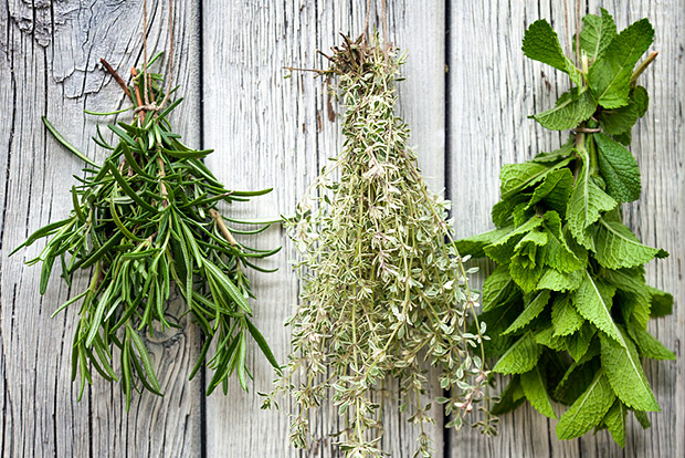 herbs