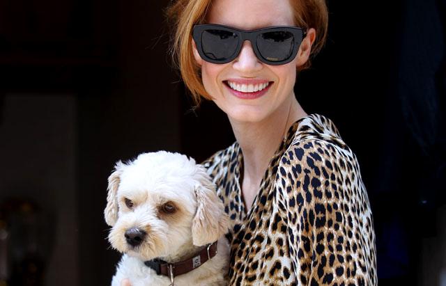 Jessica Chastain holds her dog, Chaplin