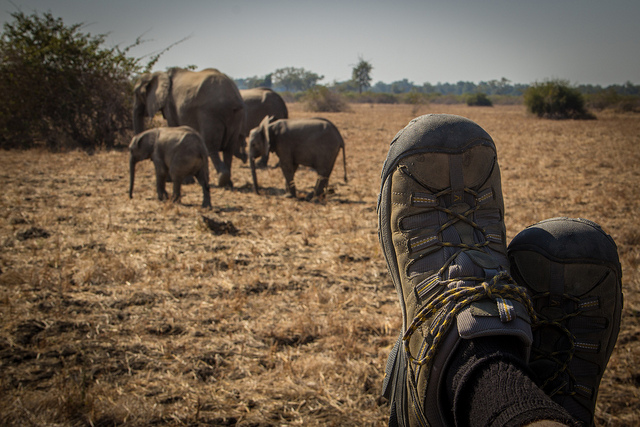 Zambia (Alex Berger )