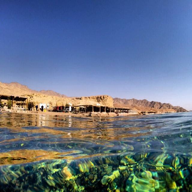 Out to Sea's next beach cleanup will be on land and underwater in Dahab (Via</a)