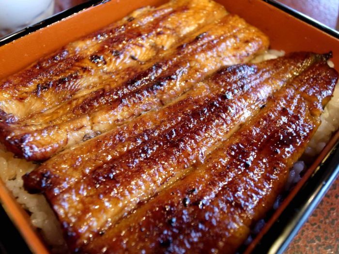 eel