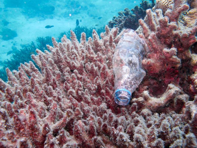Plastic garbage in the ocean.