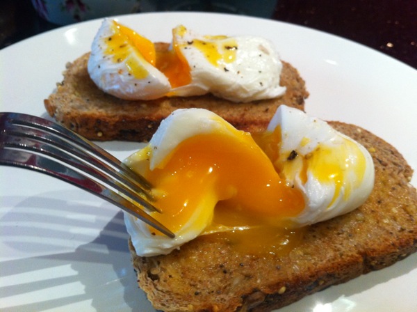pregnancyeggs