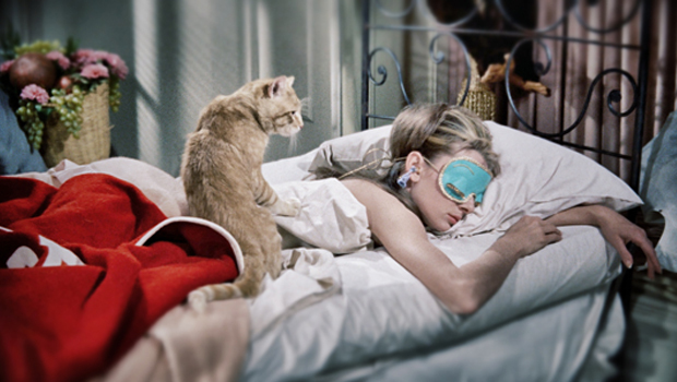sleepfacts
