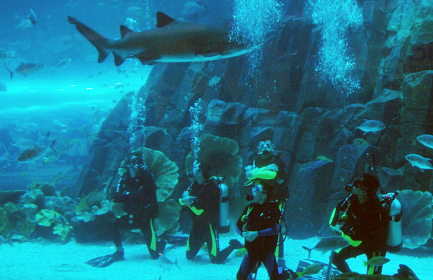 use-this-aquarium
