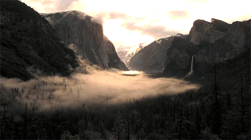 mist