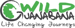 LOGO  CMYK