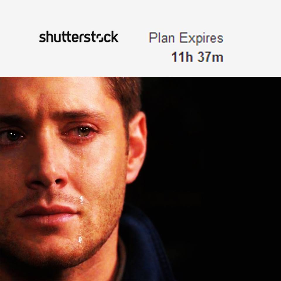 shutterstock