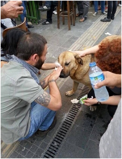 turkish