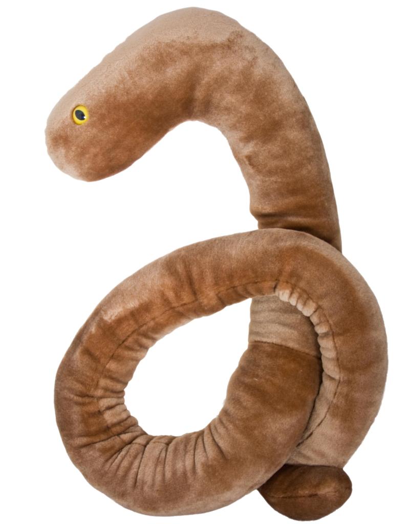 140806-ebola-gigantic-plush-1542_03b47ee49f4eae1d0acc5f2749511c78