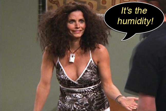 Humid frizzy hair Monica Geller Friends