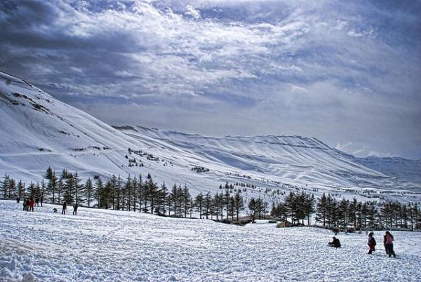 arz