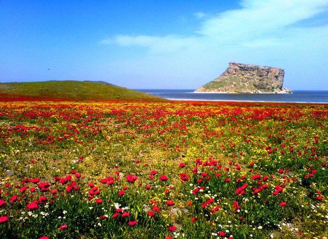 beautiful-pictures-of-iran-50-pics_4
