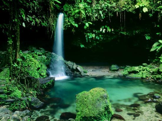 dominica