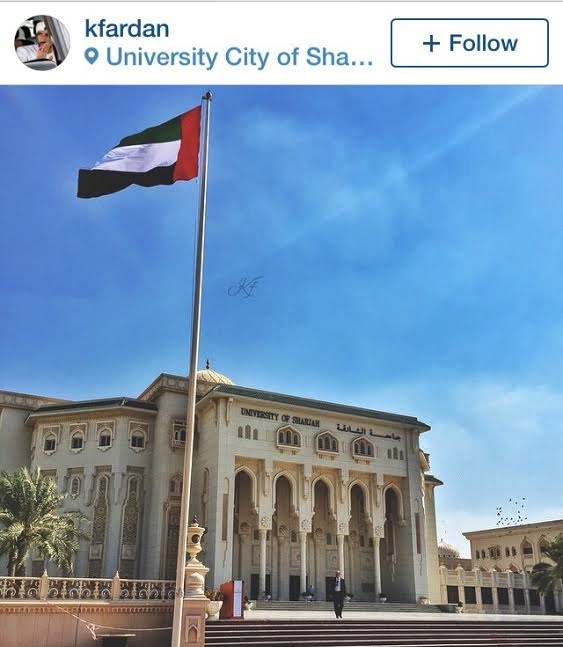 uaeflagday4