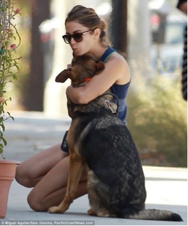 puppy