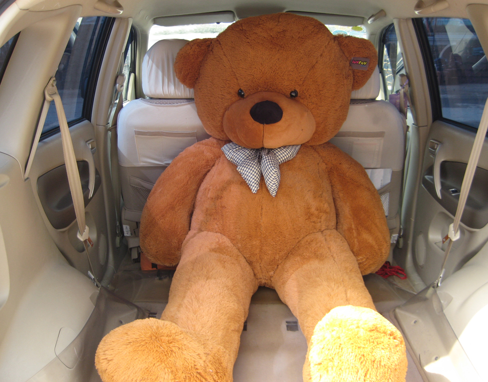 teddybear
