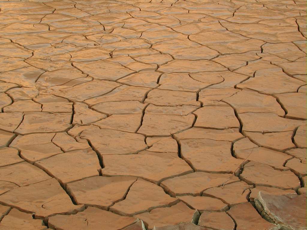 dryskin