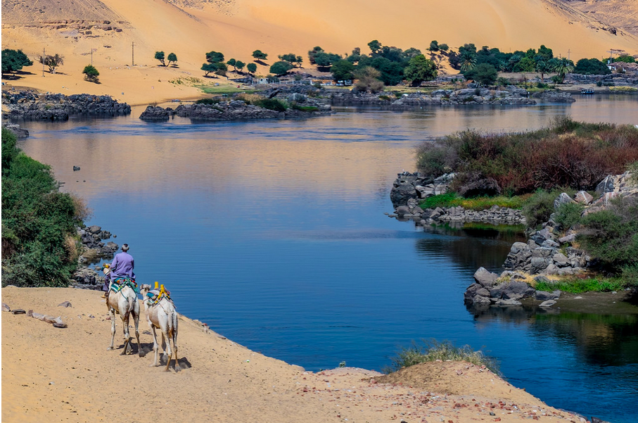 (Copyright Mohamed Hakem)