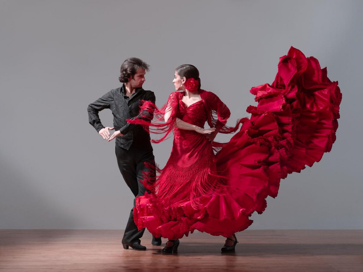 Flamenco Vivo Carlota Santana by Lois Greenfield