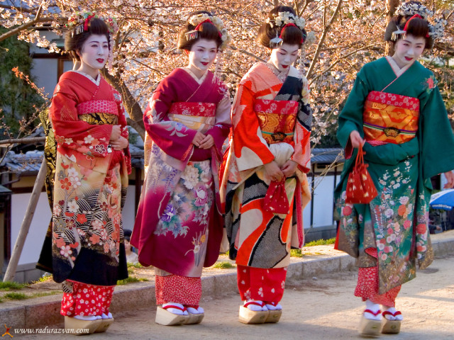 Geisha