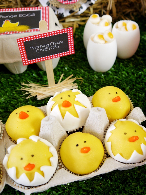 hatching-chicks-farm-birthday-barnyard-cake-pops-animals-printables-tutorial6