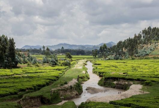 rwanda_2