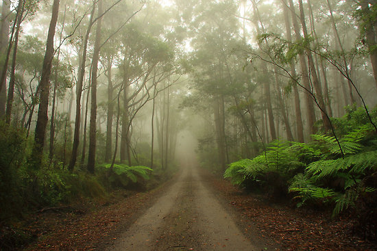 by Joel Haldane