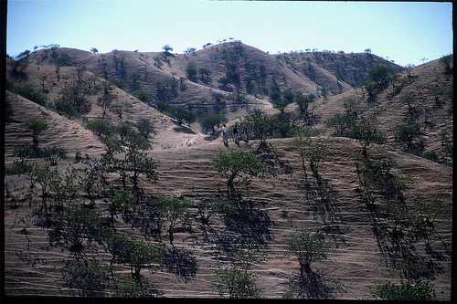 Photo by UNEP Disaster & Conflicts, 2002