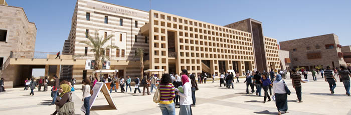Library big