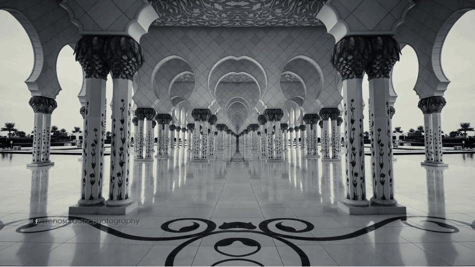 benosaradzicthevoyage4