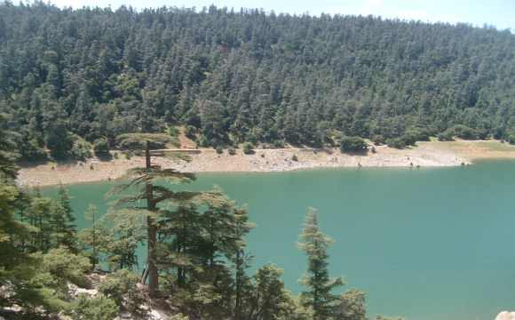 lowcost-morocco-travel-middle-atlas-cedar-forests2