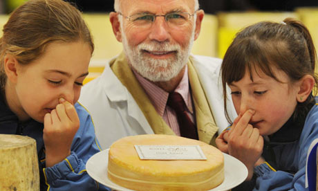 15 rotten cheese