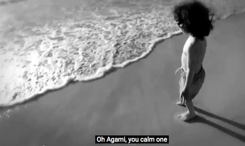 Oh My Agamy