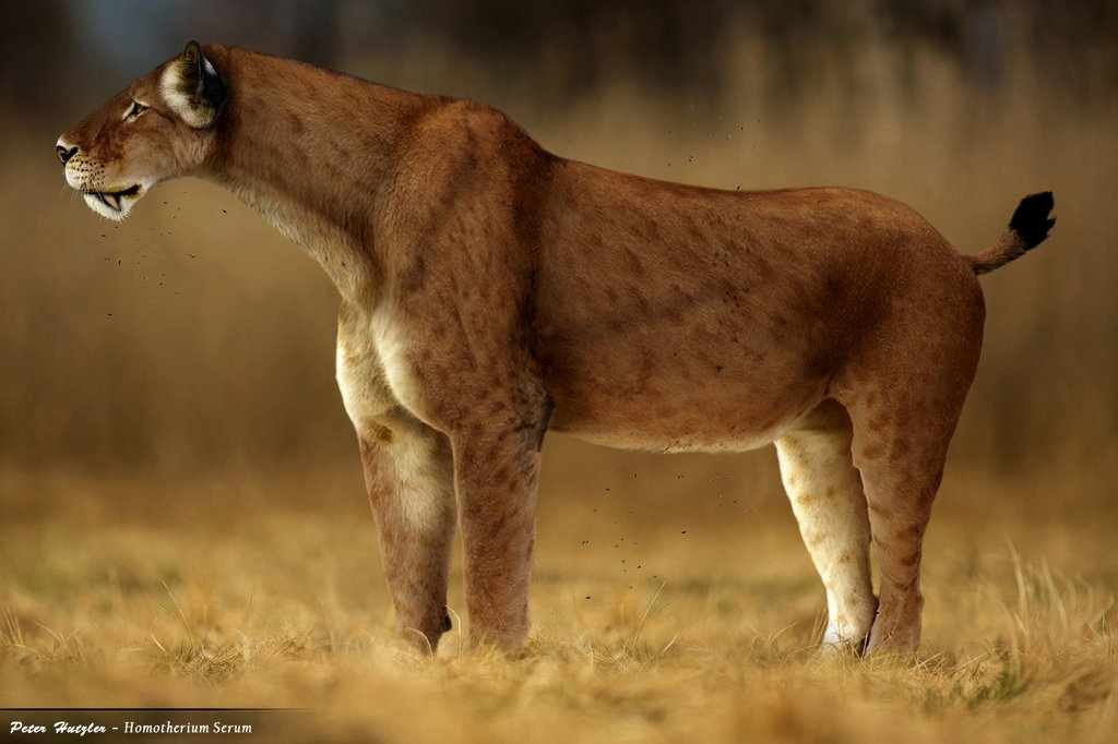 7 Extinct Animals that Once Lived in North Africa - Scoop Empire
