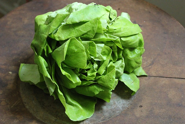 lettuce
