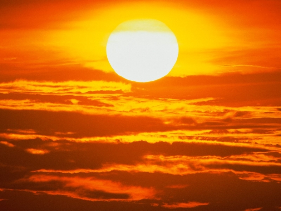 sunn