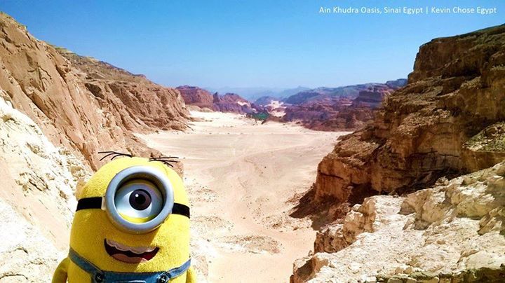 ainkhudraoasis